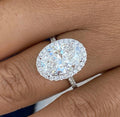 Oval Lab Grown Diamond Halo Set Pave Band Ring