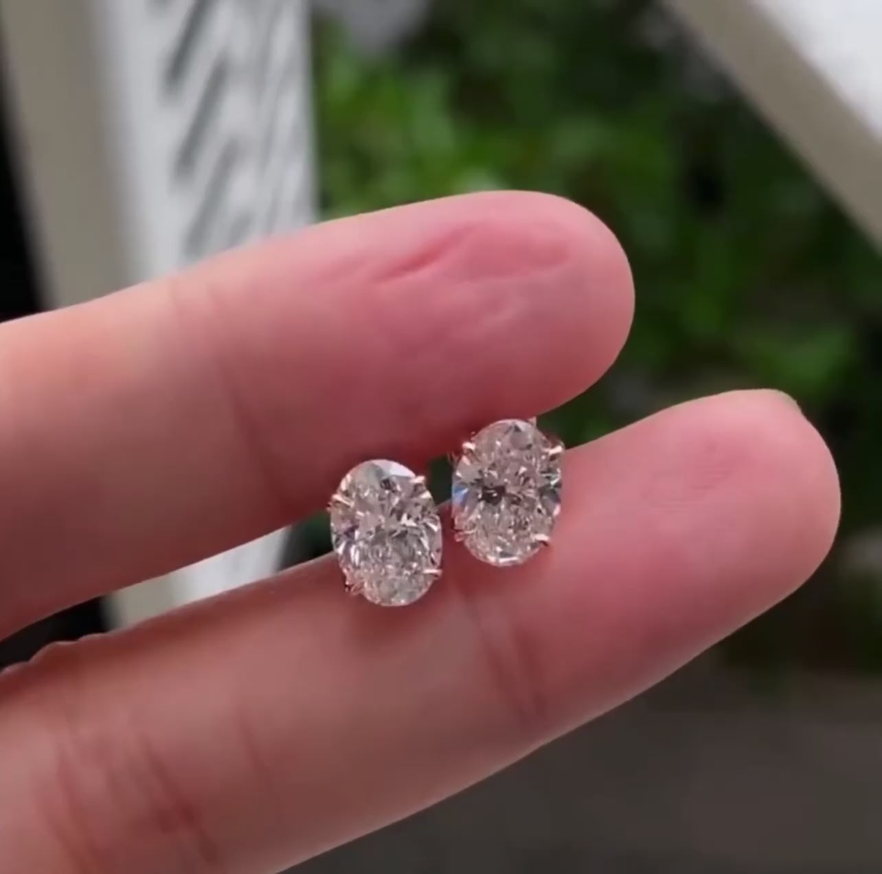 Oval Cut 4-Prong Set Studs